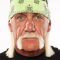 Hulk Hogan mini profile image